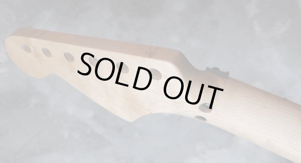 画像12: MusiKraft /  Franky Neck Custom Build / Birdseye Maple  (1) (12)