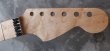 画像3: MusiKraft /  Franky Neck Custom Build / Birdseye Maple 　(1) (3)