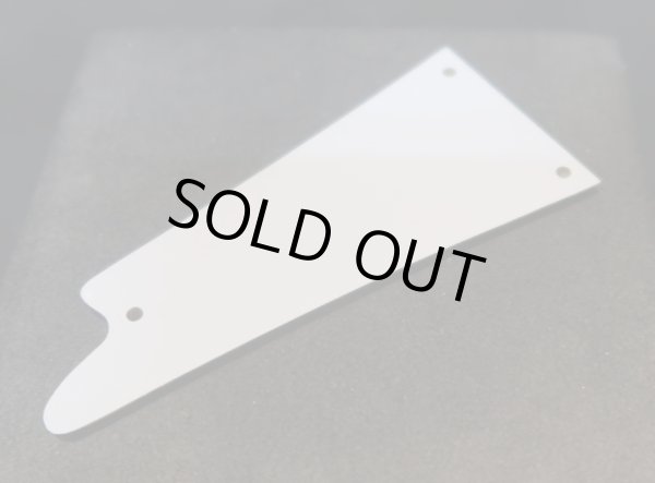 画像2: Ibanez PS-10 LTD / Gold Mirror Trusscover (2)