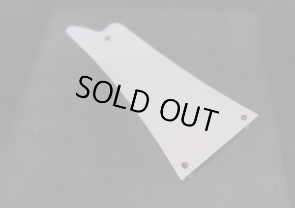 画像2: Ibanez PS-10  /  Mirror Trusscover (2)