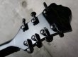 画像7: B.C. Rich Mockingbird 7-String Black (7)