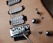 画像12: Charvel USA Guthrie Govan Signature  (12)