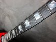 画像4: Dean USA Limited Edition Michael Schenker Flying V Red / Black     (4)