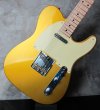 画像11: Fender Custom Shop Danny Gatton Sig. Telecaster  / Frost Gold (11)