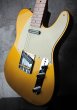 画像5: Fender Custom Shop Danny Gatton Sig. Telecaster  / Frost Gold (5)