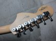 画像7: Fender Custom Shop Robin Trower Stratocaster / Arctic White  (7)