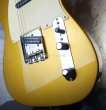 画像9: Fender Custom Shop Danny Gatton Sig. Telecaster  / Frost Gold (9)