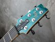 画像3: GMP Guitars Pawnshop Deluxe / Aqua Burst   (3)