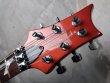 画像3: Paul Reed Smith Custom 22 Corvette Sunset Orange  (3)