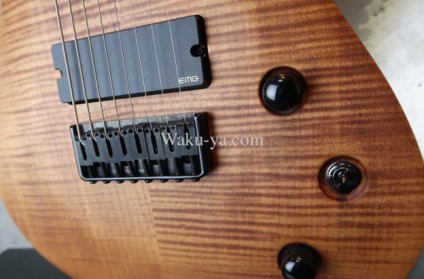 画像11: Jackson USA Select Series B8 Deluxe 8 Strings (11)