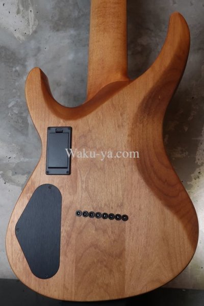 画像8: Jackson USA Select Series B8 Deluxe 8 Strings (8)