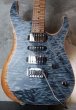 画像1: LsL Instruments XT4 DX / Alayne /Faded Trans Blue (1)