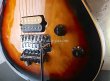 画像7: Peavey USA EVH Wolfgang Standard Tobacco Sunburst  (7)