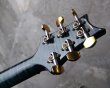 画像10: Paul Reed Smith  Limited Custom24 10 Top / Slate Blue (10)