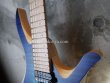 画像9: Skervesen Shoggie DC-6 String / Blue Burst (9)