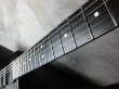 画像5: Steinberger GL-2T / Elite  (5)