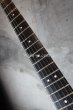 画像4: Steinberger GL-2TA / White (4)