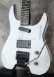 画像9: Steinberger GM-5T / White  EX+++ (9)