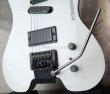 画像11: Steinberger GM-5T / White  EX+++ (11)