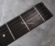 画像3: Steinberger GM-7SA / Black / S-Trem (3)