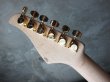 画像7: Suhr Standard Carve Top Trans Caramel  (7)