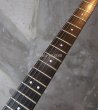 画像7: Steinberger GM-5T / White  EX+++ (7)