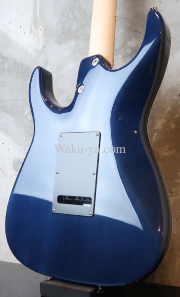 画像6: Tom Anderson Guardian Angel  /  Natural Arctic Blue with Binding (6)
