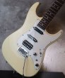 画像12: Tom Anderson Classic Olympic White (12)