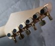 画像7: Suhr Standard Magenta Pink w/ Gold Hardware  (7)