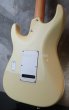 画像6: Tom Anderson Classic Olympic White (6)