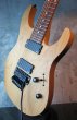 画像4: Suhr Modern 7-String Natural  (4)