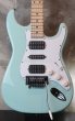 画像1: TOM ANDERSON  Icon Classic  H-S-H / Daphne Blue (1)