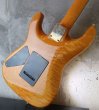 画像10:  Valley Arts Custom Pro USA Quited Maple H-S-H / Natural Amber (10)