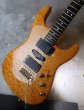 画像5:  Valley Arts Custom Pro USA Quited Maple H-S-H / Natural Amber (5)