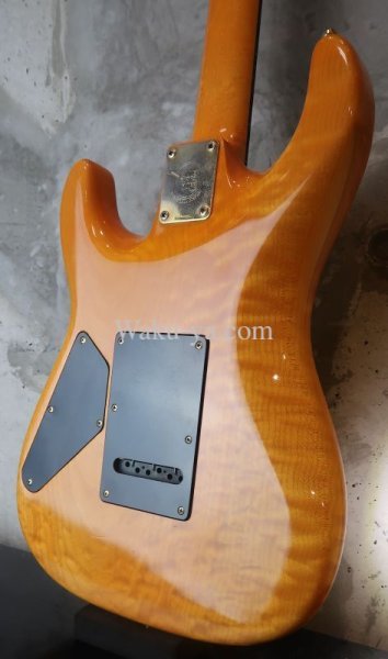 画像6: Valley Arts Custom Pro USA Quilted Maple H-S-H / Natural Amber (6)