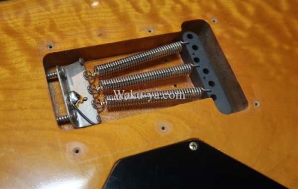 画像11: Valley Arts Custom Pro USA Quilted Maple H-S-H / Natural Amber (11)