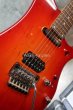 画像9: Vigier Excalibur Ron "Bumblefoot" Thal Signature Model / Cherry Sunburst (9)