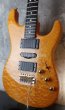 画像9:  Valley Arts Custom Pro USA Quited Maple H-S-H / Natural Amber (9)