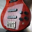 画像11: Paul Reed Smith '86 Proto Type Bass /  Tortoise Shell 　 (11)