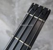 画像2: Steinberger XL-2A  (2)