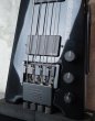 画像8: Steinberger XL-2A '93 (8)