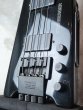 画像11: Steinberger XL-2A  (11)