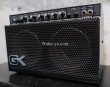 画像2: Gallien-Krueger 250ML  / SELIES II (3) (2)