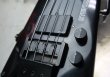 画像2: Steinberger L-2 (2)