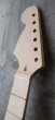 画像7: Warmoth Stratocaster Neck 22 Fretted Maple / Left Hand / Large Head (7)