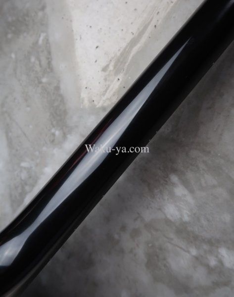 画像5: Steinberger L-2 (5)