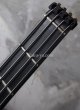 画像5:  Steinberger L-2  '82       i (5)