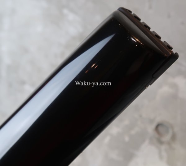 画像6: Steinberger XL-25WA 1997 / BLK (6)