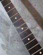 画像8: Warmoth Telecaster® Mahogany Neck  21 Frets Ebony / Right Handed  (8)