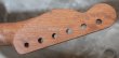 画像4: Warmoth Telecaster® Mahogany Neck  21 Frets Ebony / Right Handed  (4)